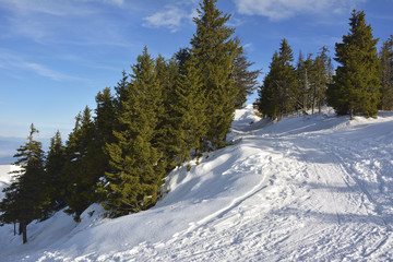 Fototapeta na wymiar Mountains in winter.