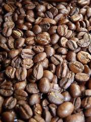 Roasted Coffee Beans