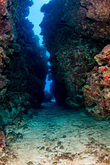 A narrow underwater canyon on a tropical coral reef