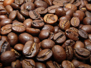 Roasted Coffee Beans