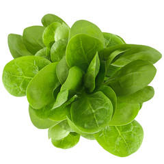 Isolated fresh valerian leaves on white background