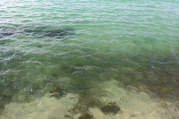 coral reef underwater