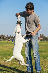 Bull Terrier Playing in the Park