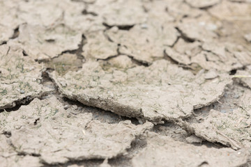 drying of the earth's surface