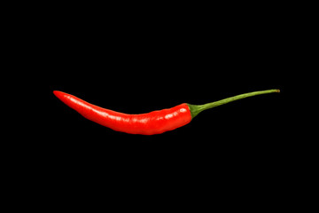 chilli isolation on black