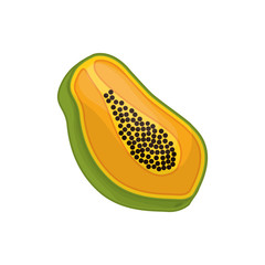 Papaya delicious fruit icon vector illustration graphic design