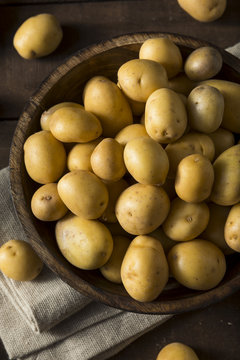 Raw Organic Baby Gold Potatoes