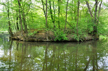 Small beautiful island with trees in the middle of the river in the spring.