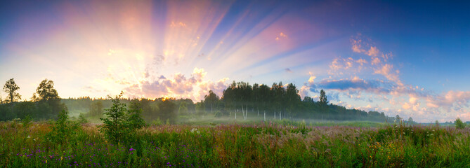 Panoramic meadow. Summer good weather