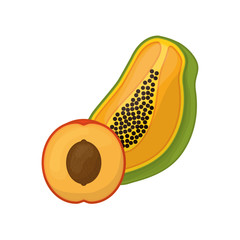 Papaya and peach delicious fruits icon vector illustration graphic design