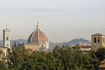 aerialview of florence