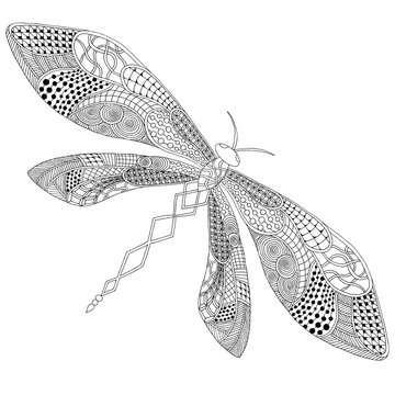 Dragonfly illustration on simple white background