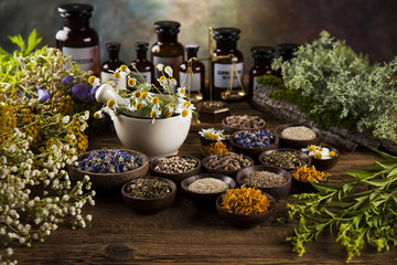 Herbs, berries and flowers with mortar, on wooden table background