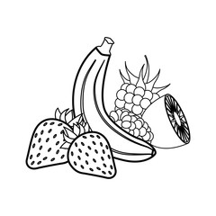 set of fruits icon vector illustration graphic design