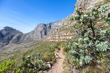 Table mountain, cape town, south africa