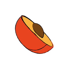 Peach delicious fruit icon vector illustration graphic design