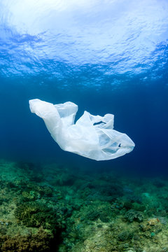 A discarded plastic garbage bag floating next to a tropical coral reef in the ocean