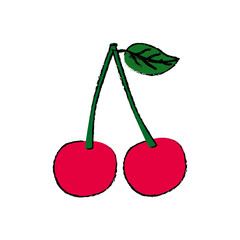 Cherries delicious fruit icon vector illustration graphic design