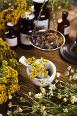 Herbal medicine on wooden desk background
