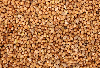 Millet healthy food seeds