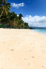 Deserted, sandy tropical beach