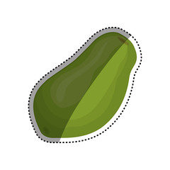 Avocado delicious fruit icon vector illustration graphic design
