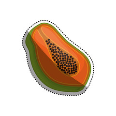 Papaya delicious fruit icon vector illustration graphic design