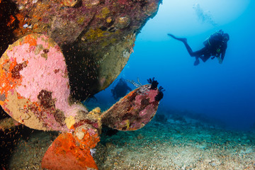 SCUBA divers on a ship wreck