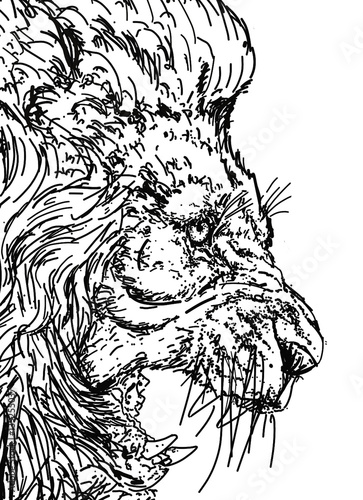RUGGITO DEL LEONE DA SCARICA