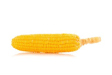 Corn on white background