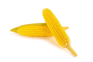 Corn on white background