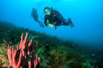 Une paire de plongeurs autonomes sur un récif de corail tropical