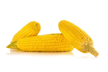 Corn on white background