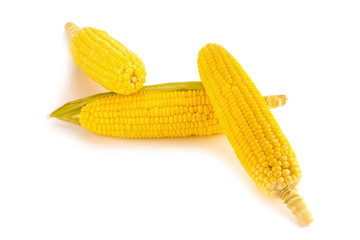 Corn on white background
