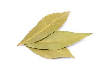 Fototapeta premium Spices bay leaves isolated on white background