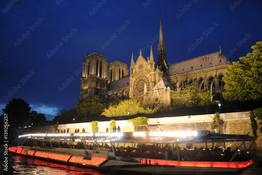 Wall mural notre dame cathedral, paris, france