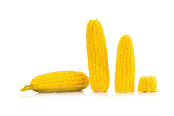 Corn on white background