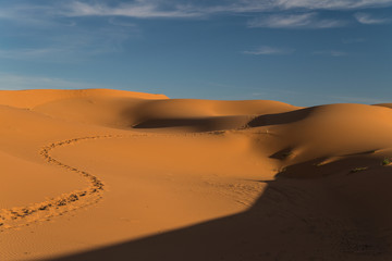 Fototapeta na wymiar Scenic and tranquil desert near Merzouga, Morocco