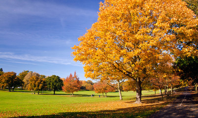 UK - Autumn Colours