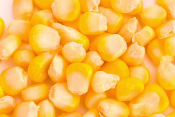 Corn background
