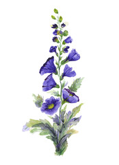 Fototapeta premium Watercolor illustration of mallow flower branch on white background.