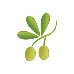 Olive oil healthy food icon vector illustration graphic design