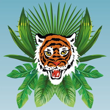 tiger head on tropical leaves blue background