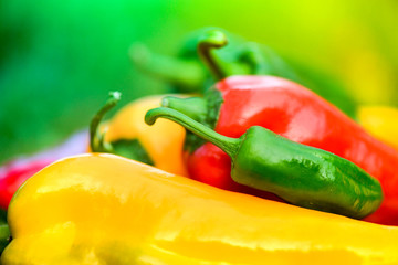 Summer harvest. Freshly picked, red, green and yellow sweet peppers, laying in grass in garden. Healthy eating, fresh food, vegetables, vitamins, diet, fitness. Making fresh salads for dinner.