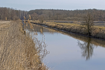 Kanal zum Auwald