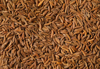 detail of caraway seeds