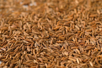 detail of caraway seeds
