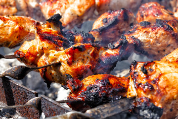 Grilled meat on a skewer