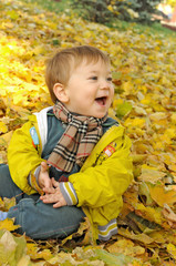 Little boy sitting in yellow leaves
