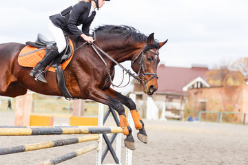 Bay horse with rider girl jump over hurdle on show jumping competition